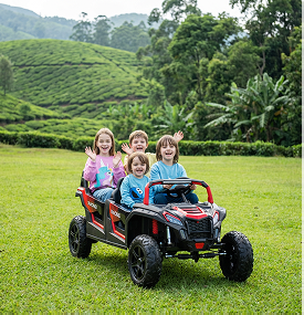 Electric car and bike rides