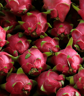 Dragon Fruit