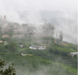 Soft-light photography mornings with heavy fog and cold clarity